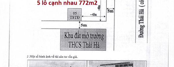 Thanh lý gấp đất phân lô xã Thái Hà, Thái Thụy, Thái Bình, đang kinh doanh bể bơi-02