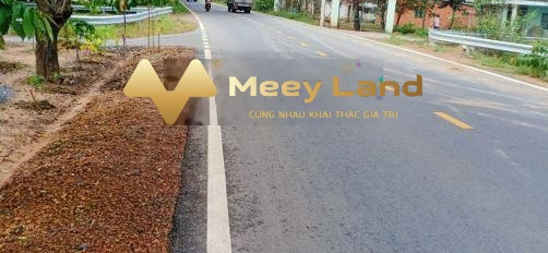 Phường Mỹ Xuân, Thị Xã Phú Mỹ bán đất giá thỏa thuận 700 triệu diện tích thực tế 100m2-02