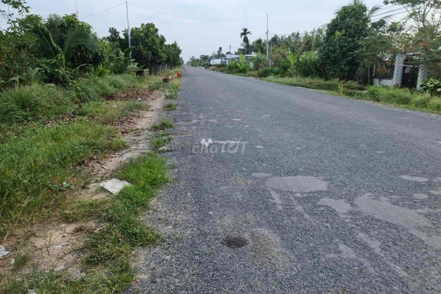 Bình Tân, Vĩnh Long bán đất giá bán hữu nghị từ 2 triệu có diện tích tiêu chuẩn 600m2-01