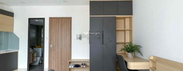 Cho thuê căn hộ với diện tích 40m2 vị trí mặt tiền ngay Tân Quy, Hồ Chí Minh thuê ngay với giá chốt nhanh chỉ 8 triệu/tháng-03