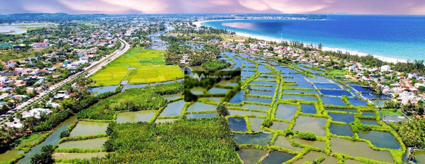 Ngay Hoàng Sa, Quảng Ngãi bán đất 1.75 tỷ diện tích thực là 100m2-03