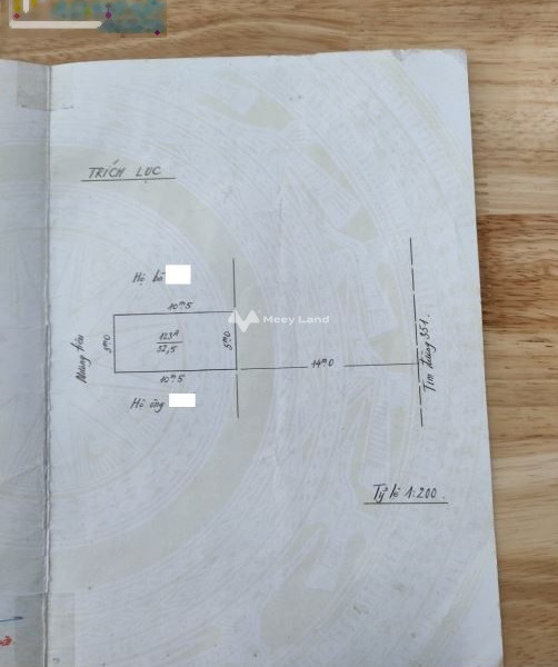 Thuê ngay với giá cực rẻ chỉ 3.2 tỷ/tháng cho thuê đất có một diện tích là 52m2 vị trí đặt nằm ở Nam Sơn, An Dương-01