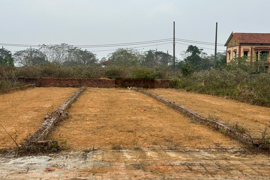 Bán đất tại Đường 21A, Hà Nội. Diện tích 100m2-01