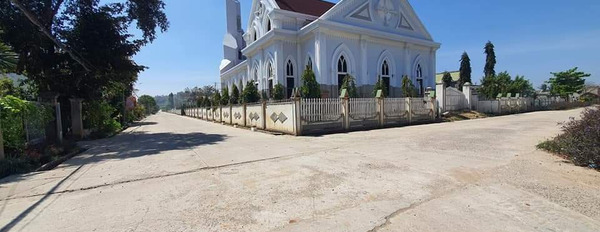 Bán đất mặt tiền tại đường Nguyễn Viết Xuân, huyện Cư Jút, Đắk Nông-03