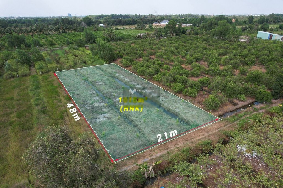 Đất vườn trồng dừa 1010mv cần bán gấp -01