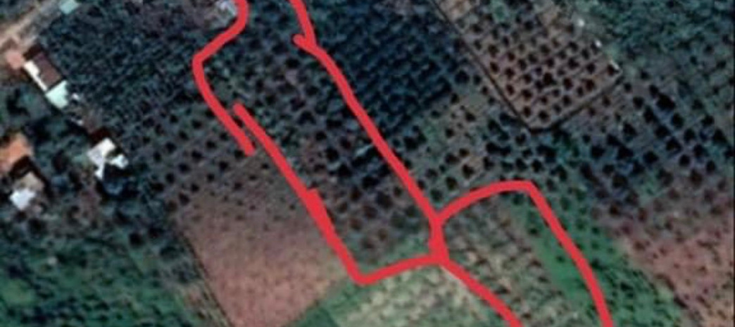 Bán đất tại Ấp 4, Lộc An, Lộc Ninh, Bình Phước. Diện tích 4000m2, giá 1,2 tỷ