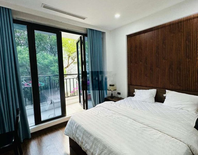 Aparment 1 ngủ 1 khách 42m2 mặt phố Bùi Thị Xuân full nội thất cao cấp -01