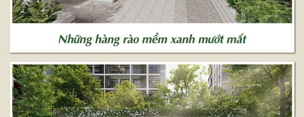 Dấu ấn kiến trúc biophilic tại phố đông Sài Gòn tại Elysian Thủ Đức-03