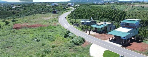 Bán biệt thự vị trí đặt ở Lộc Ngãi, Lâm Đồng bán ngay với giá phải chăng 13 tỷ với diện tích thực 6200m2, nhà có 3 phòng ngủ-03