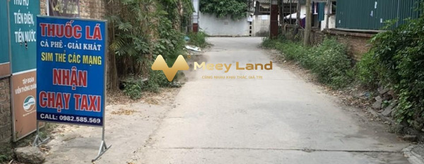 Bán đất có diện tích 125m2 tọa lạc ngay trên huyện Sóc Sơn, Hà Nội, hướng Nam-02