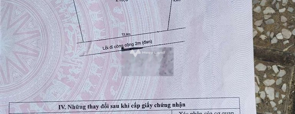 Trong Bình Thạnh, Long An bán đất giá bán chính chủ chỉ 630 triệu có diện tích trung bình 215m2-03