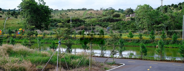 Lý Thái Tổ, Bảo Lộc 600 triệu bán đất có diện tích 200m2-03