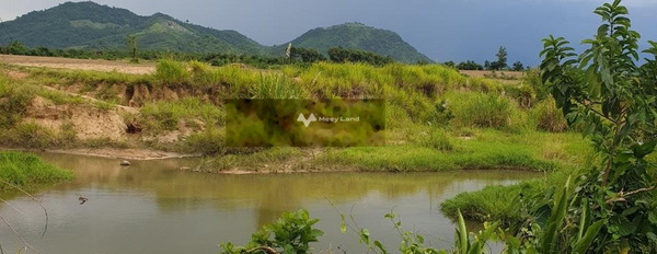 790 triệu bán đất Diện tích đất 2000m2 trong Ninh Tân, Ninh Hòa, hướng Đông-02