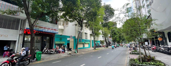 Tọa lạc tại Nam Kỳ Khởi Nghĩa, Nguyễn Thái Bình bán nhà bán ngay với giá thực tế 230 tỷ-03
