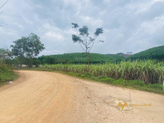9.5ha (95.000m2) đất RSX, huyện Ea Trang, M'Drak, Daklak, đường ô tô tận nơi, giá siêu tốt
