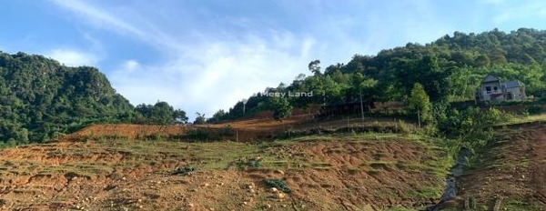 3 triệu bán đất có diện tích chung là 1700m2 vị trí đẹp tọa lạc ngay ở Bắc Sơn, Hòa Bình-02