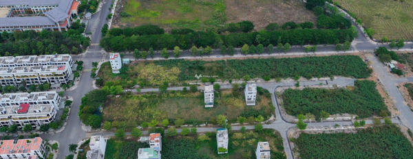 Giá 1.9 tỷ bán đất Diện tích nền 120m2 vị trí thích hợp Nguyễn Văn Linh, Hồ Chí Minh-03