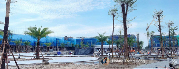 Bán shophouse giá 6,98 tỷ, diện tích 75m2 vị trí mặt tiền ở Hải Hòa, Quảng Ninh-03