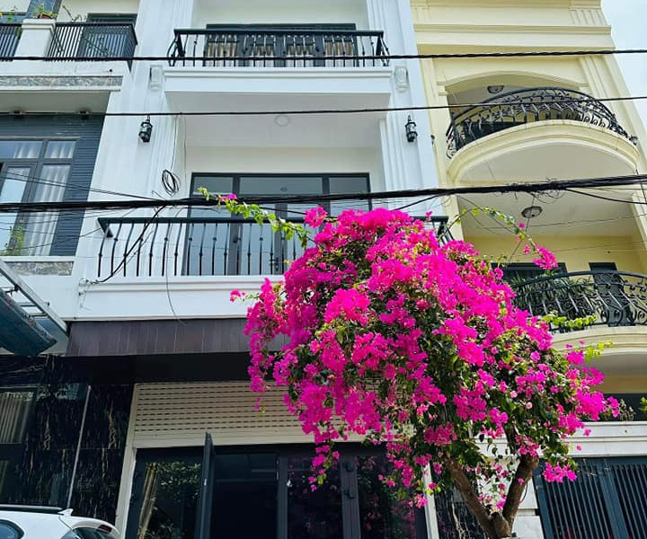 Bán nhà 4 tầng mặt tiền đường khu Hoà Minh, Liên Chiểu, Đà Nẵng-01