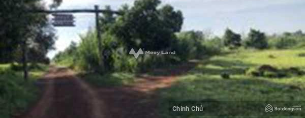7 tỷ bán đất có diện tích 18000m2 vị trí thuận lợi tọa lạc trên La Ngà, Đồng Nai-03