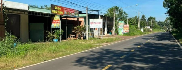 Nằm trong mức 450 triệu bán đất diện tích chung quy 250m2 vị trí tiện lợi Lộc Ninh, Bình Phước-03