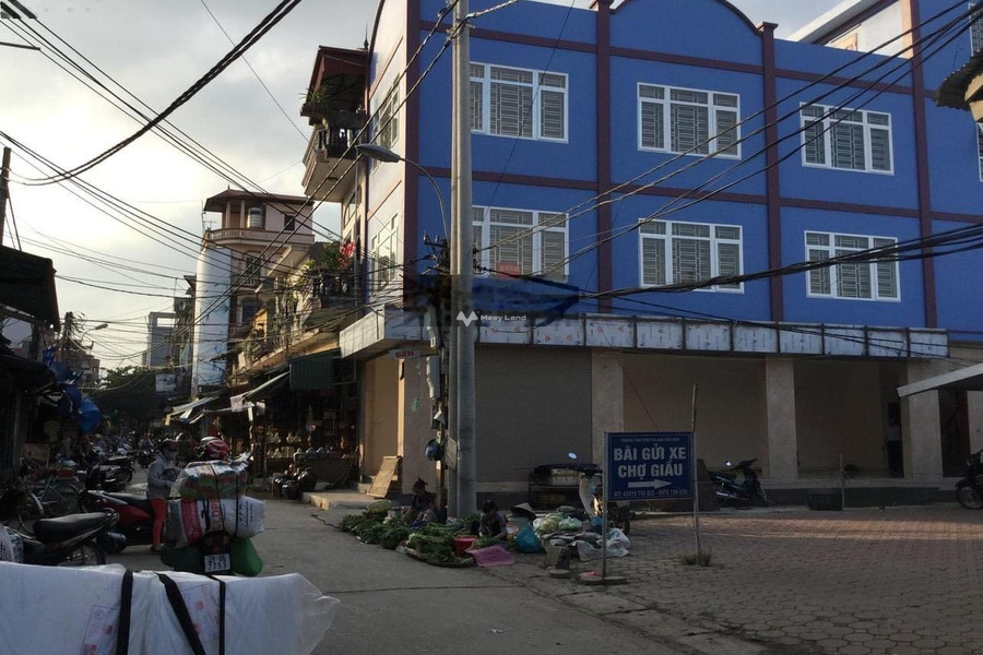 Cho thuê nhà có diện tích khoảng 90m2 vị trí hấp dẫn Đông Ngàn, Bắc Ninh giá thuê êm chỉ 27 triệu/tháng, 3 WC-01