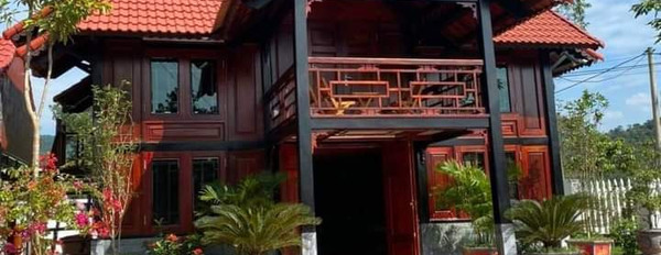 Bán đất tặng homestay Ngọc Thanh-03