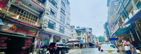 Hướng Nam, bán nhà có diện tích chính 76.5m2 vị trí đẹp tại Thạch Sơn, Sa Pa giá bán chính chủ 16.55 tỷ tổng quan trong căn nhà gồm 5 PN, 6 WC-03