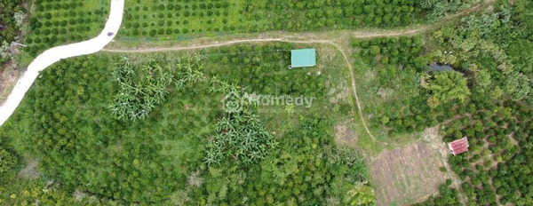 Vị trí thuận tiện Tân Văn, Lâm Hà bán đất với diện tích là 170m2-02