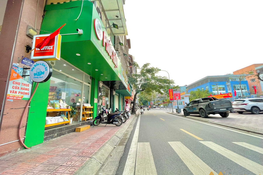 Bán gấp nhà mặt phố Nguyễn Công Hoan, Ba Đình 58m2 vỉa hè kinh doanh 5 tầng - mặt tiền 4,1m-01
