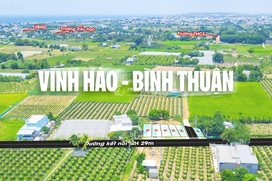 Cần mở công ty bán mảnh đất, 200m2 vị trí đặt nằm ở Quốc Lộ 1A, Tuy Phong chính chủ đăng tin-01