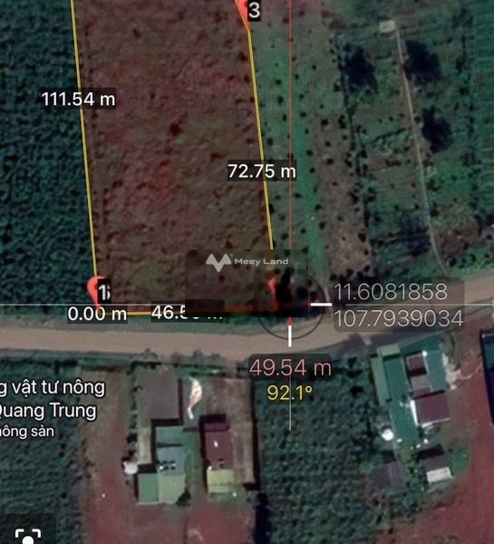 Bảo Lộc, Lâm Đồng 17 tỷ bán đất có diện tích tổng 5000m2-01