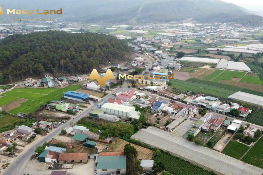 Vị trí trung tâm Quốc Lộ 27, Lâm Đồng bán đất giá công khai chỉ 420 triệu dt tổng là 120 m2-01