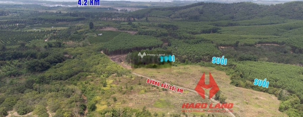 Ở Định Quán, Đồng Nai bán đất 650 triệu diện tích chính là 1000m2-02
