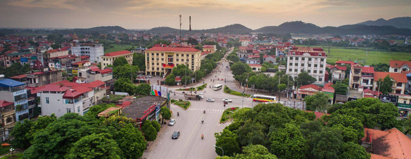 Bán lô góc Đan Tảo, Tân Minh, Sóc Sơn, mặt tiền 21m, diện tích 1.200m2-02