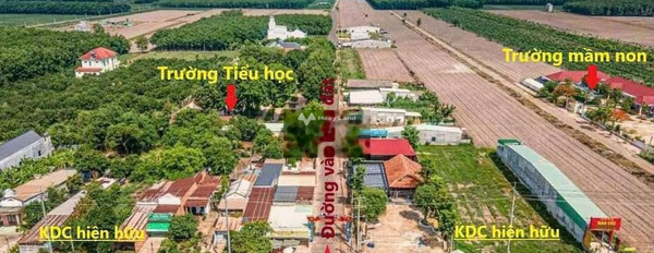 450 triệu bán đất toàn bộ khu vực có diện tích 200m2 mặt tiền tọa lạc gần Liên Xã, Bình Phước, hướng Đông Bắc-03