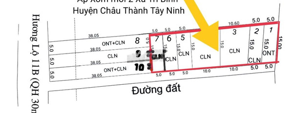 Vị trí mặt tiền tọa lạc ở Hương Lộ, Tây Ninh bán đất giá siêu ưu đãi 280 triệu diện tích rộng là 75m2-03