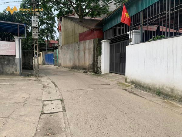Bán đất tặng nhà gần trường cấp 1-2 Quang Vinh-01