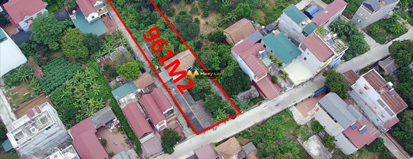 8.65 tỷ bán đất diện tích như sau 961m2 ở Xã Phú Cường, Huyện Sóc Sơn, hướng Tây Nam-03