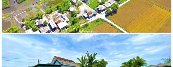 Quảng Điền, Thừa Thiên Huế bán đất giá rẻ từ 449.79 triệu, hướng Đông Nam diện tích trong khoảng 1003m2-02