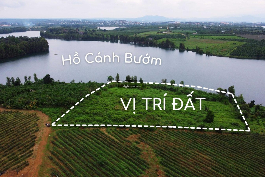 1.9 tỷ bán đất diện tích rộng rãi 470m2 mặt tiền tọa lạc ngay ở Lộc Quảng, Bảo Lâm-01