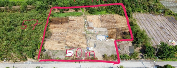Củ Chi, Hồ Chí Minh bán đất giá rẻ bất ngờ chỉ 18.56 tỷ Có tổng diện tích 4125m2-03