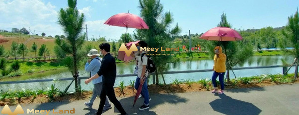 Bán đất vị trí thuận lợi ngay tại Lạc Dương, Lâm Đồng giá chỉ 600 triệu, diện tích 300m2-02