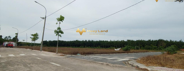 Cần kinh doanh bán mảnh đất, 1000m2 giá bán công khai 5 tỷ tọa lạc tại Đường Long Đức, Huyện Long Thành giá siêu rẻ-03