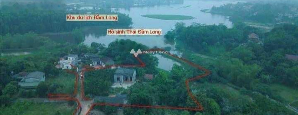 Duy nhất 1 lô đất bám Hồ Đầm Long tuyệt đẹp - giá đầu tư liên hệ liền-03