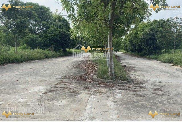 án đất vị trí ngay trên Thị Trấn Quang Minh, Huyện Mê Linh giá bán tốt 5.08 tỷ dt là 282 m2