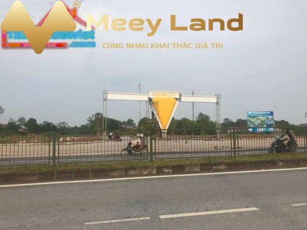 Đường Quốc Lộ 3, Tỉnh Thái Nguyên bán đất giá bán rẻ bất ngờ chỉ 920 triệu có diện tích chuẩn 100 m2-01