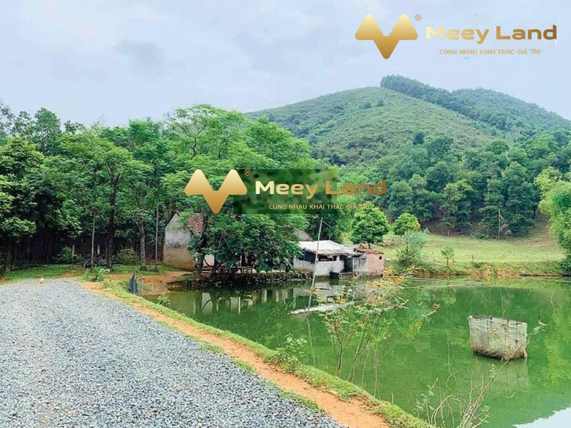 28,69 tỷ bán đất diện tích rộng là 6040 m2 vị trí ngay ở Lương Sơn, Hòa Bình-01