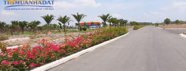 Bán đất nền Nhơn Trạch, Đồng Nai, Mega City 2, giá 980 triệu/nền-02