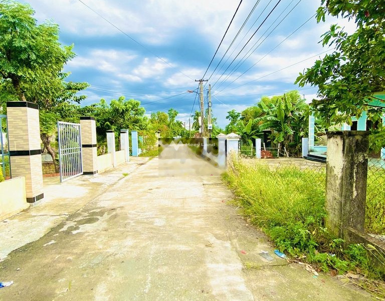 Ở Tích Phú, Đại Hiệp bán đất 730 triệu có diện tích trung bình 173m2-01